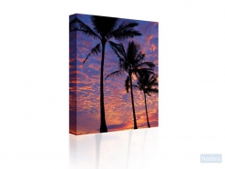 Canvas Palm trees at sunset