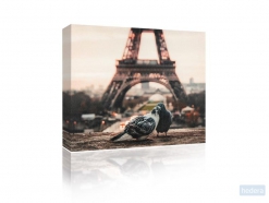Canvas Pigeons and eiffel tower