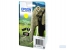 Epson Elephant Singlepack Yellow 24 Claria Photo HD Ink (C13T24244022)