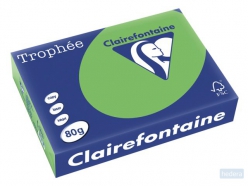 Clairefontaine TrophÃ©e Intens A4, 80 g, 500 vel, grasgroen